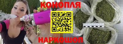 jwh Пенза