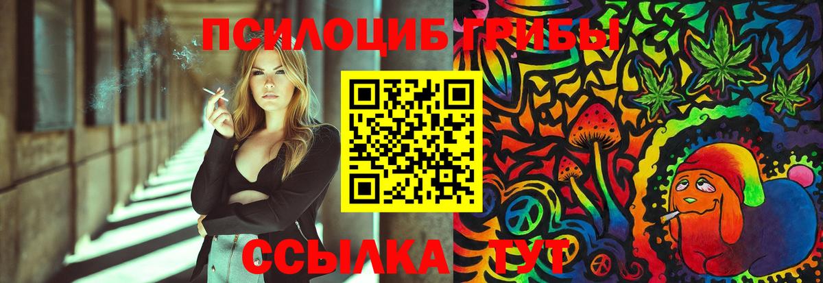 Галлюциногенные грибы Psilocybe  Вход с VPN  Сунжа  Псилоцибиновые грибы мухоморы 